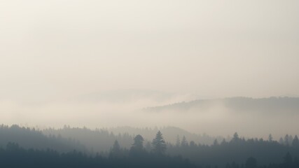 Fototapeta premium Minimalist Background: Elegant Curves and Textures for a Modern Business Banner 