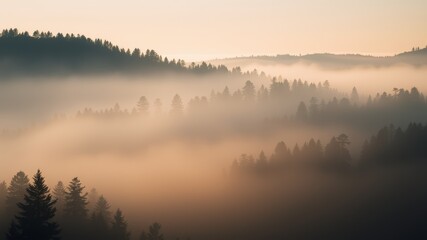 Fototapeta premium Minimalist Background: Elegant Curves and Textures for a Modern Business Banner 