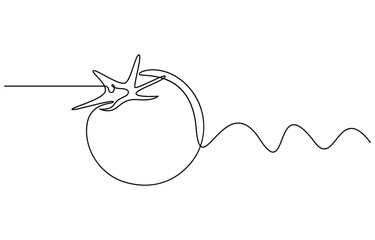 ripe fresh one tomato fruit vegetable line art, Abstract red shaped tomato. single line tomato icon, A continuous line drawing of a tomato, fresh tomato fruit vegetable in Continuous one line drawing