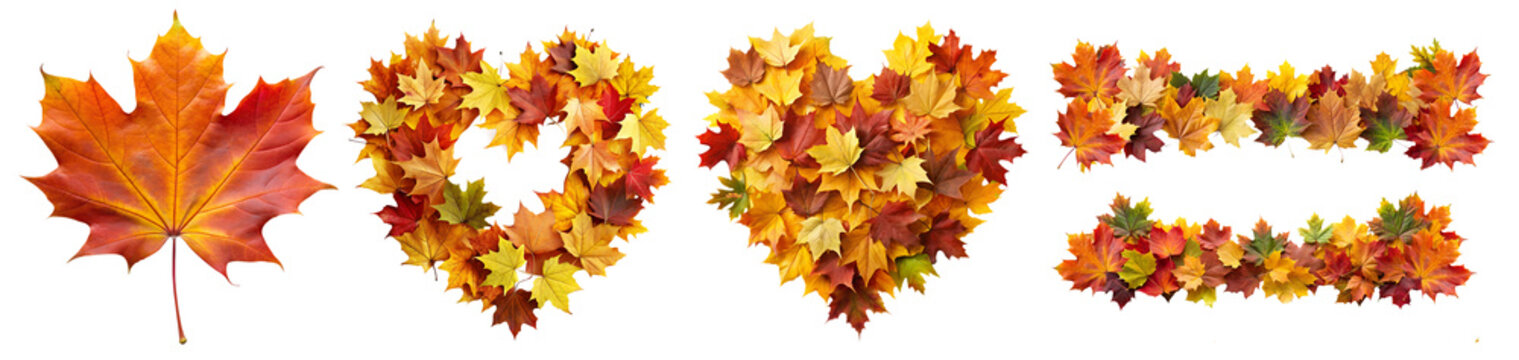 Autumn leaves decoration elements - heart frame and border garlands, isolated on transparent white background, png element collection. Colorful orange and yellow fall leaves design clipart