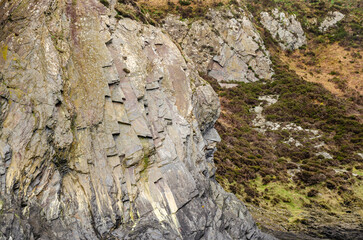 Close-up of a rocky cliff face with vegetation growing on top.