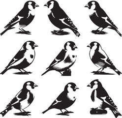 Bird Dark Silhouette Shapes Vector Set