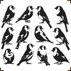 Obraz premium Bird Versatile Black Silhouette Vector Series