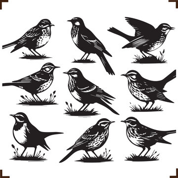 Mayna Bird Modern Black Silhouette Design Elements