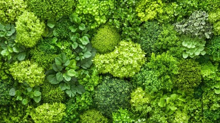 This aerial perspective highlights the vibrant greens of a dense forest, with a thick canopy that reveals the beauty of ancient trees in a serene environment