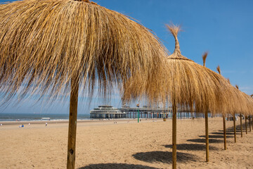 Eine Reihe mit Bast Sonnenschirmen am Strand von Scheveningen in den Niederlanden