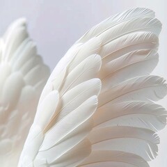 Abstract White Feather Wings On White Background, Purity, Innocence, Soft Light, Minimalist