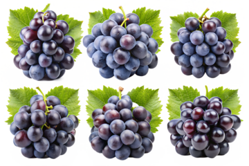 Clusters of black grapes isolated on a transparent background PNG