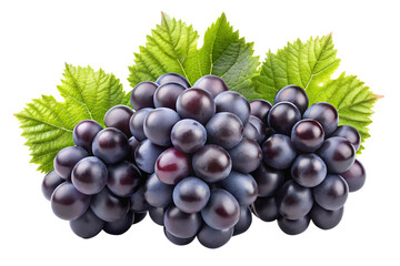 Fototapeta premium Clusters of black grapes isolated on a transparent background PNG