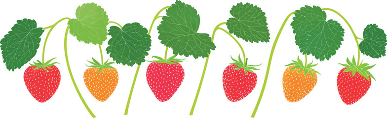 For invitation save the date card, hand drawn line herb and elegant leaves with strawberries on a rustic wood branch.