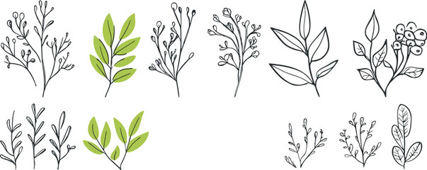 Set of different flowers and brunch from flat editable stroke. Luxury line floral collection for wedding invitations and save-the-date cards.