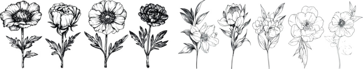 Hand drawn embellishment for wedding invitations, save-the-date cards, boutonnieres, and bouquets.