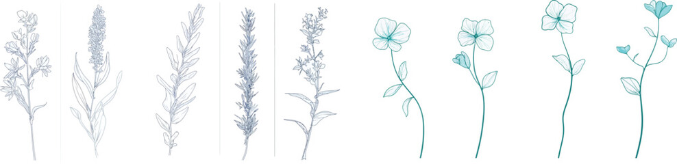 Minimalist forms with elegant botanical elements for invitations, save the date cards.