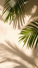 Palm Leaf Shadows on a Cream Background