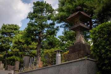 Japanese trees and stone buildings.