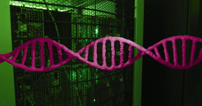 Image of pink dna strand over dark computer server room