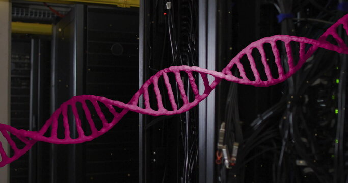 Image of pink dna strand over dark computer servers