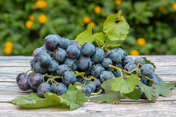 Izmir's famous kavacık grapes on a wooden table