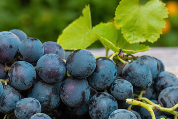 Izmir's famous kavacık grapes on a wooden table
