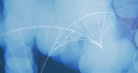 DNA strand and binary coding, scientific data processing