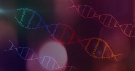 DNA strands image over colorful abstract background