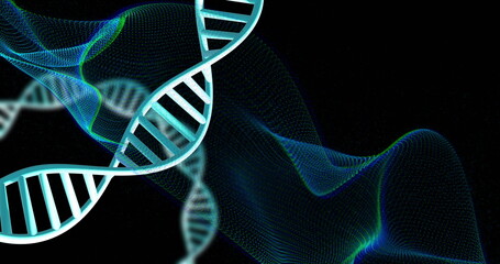 DNA strand and digital wave image over black background