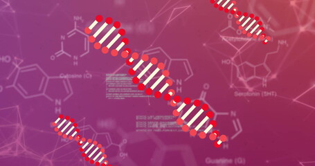 DNA strand image over chemical formulas and molecular structures