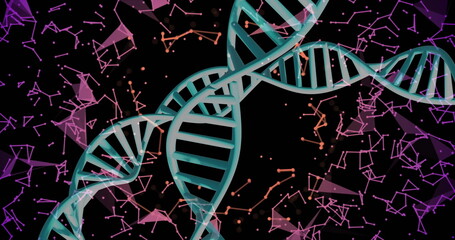 DNA strands and geometric shapes, scientific data processing image