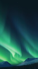 Green wallpaper outdoors nature night.