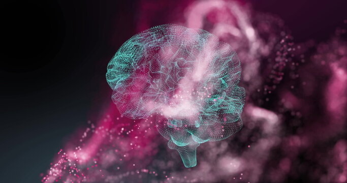 Image of digital brain spinning over pink spots