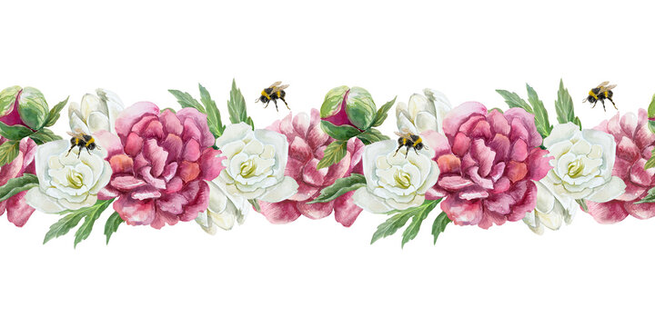 Peonies seamless border with freesia and bumblebee. Hand drawn watercolor illustration isolated on white. For greeting cards, Valentines day, wedding invitations, packaging.