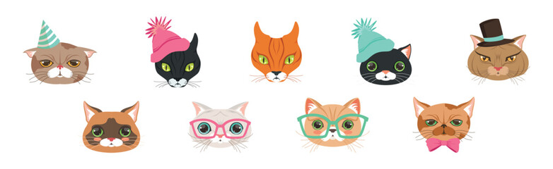 Funny Cat Muzzle and Snout with Whiskers Vector Set