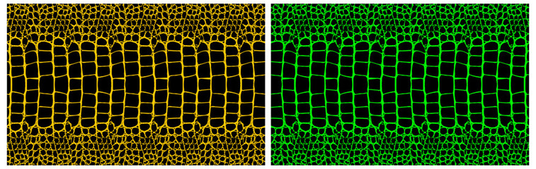 Crocodile skin black Seamless vector pattern isolated on white background. © Subhan