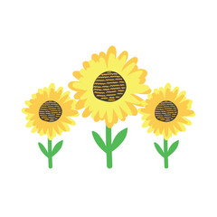 Cute sunflowers in a hand drawn style vector on a white background. Autumn concept.