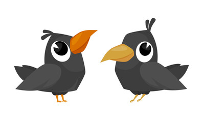 Two vector little crows with big cute eyes. Funny raven icons. Different poses set. Jackdaw sign. Cartoon style common urban bird. Art element for children's card design, advertising layout. Farm pest