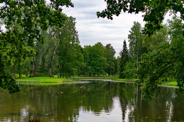 lake in the park
