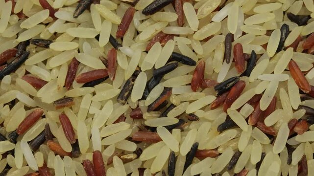 tas de m&eacute;lange de trois riz cru, en gros plan