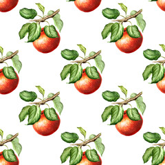 Obraz premium Fresh Apple fruit fall seamless pattern. Hand drawn watercolor illustration isolated on white background