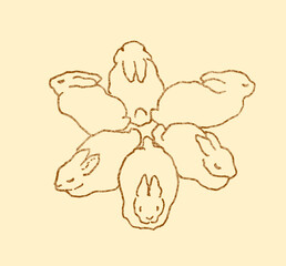 Bunnies Bunnies Funny funny love Heart Fluffy