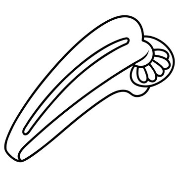 recommend clip art: hair clips outline coloring book page line art illustration digital drawing
