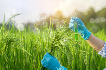 Smart farming uses technology to control planting, caring for harvesting products in the farms of new generation of farmers. Modern agriculture can reduce labor and costs and produce quality products
