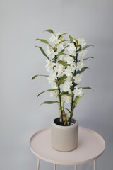 
a flower shop, a warehouse where plants are sold