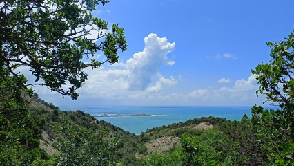 Sea view from the cliff. A reserve with old relict pines. Headland