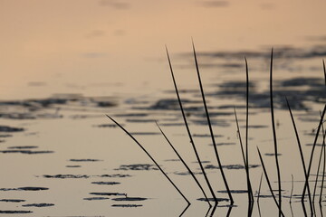 Reflection of orange sunset light in the mirror of river water