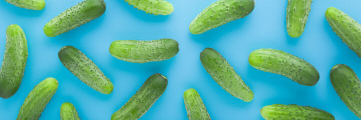 Fresh green short small cucumbers on light blue table background. Pastel color. Food pattern. Wide...