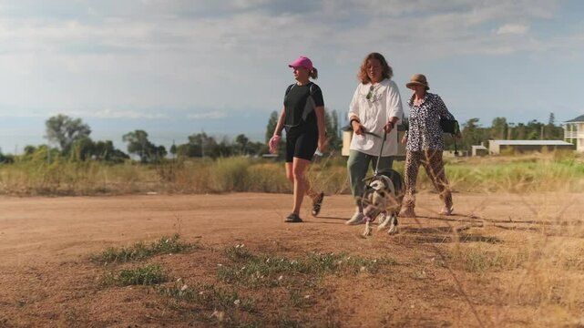 Active pensioners walk with their pet pitbull on a leash in a suburban area among green fields in warm sunny weather. Wide shot.