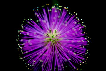 background with lights