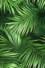 Coconut tree leaf abstract background seamless