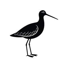 Sleek Snipe Bird Silhouette:. Graceful Vector Illustration of the Dowitcher Bird