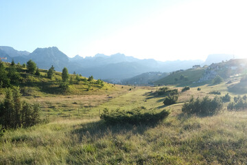 Fototapeta premium Meadow in the moutains
